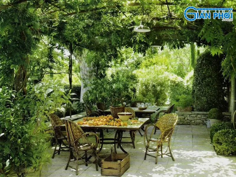 Mái che sân sau phủ xanh bằng cây lá