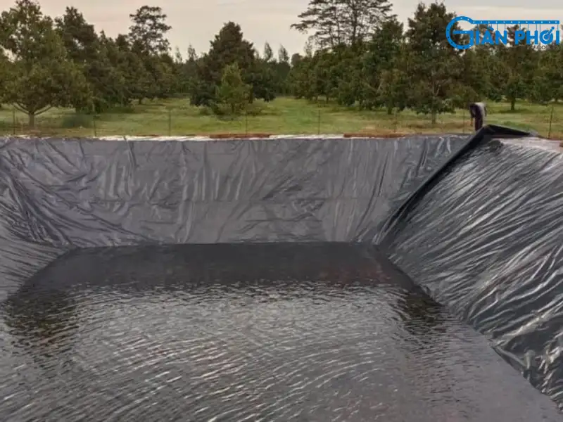 Bạt lót hồ nuôi trồng thủy sản Bạt lót hồ nuôi trồng thủy sản