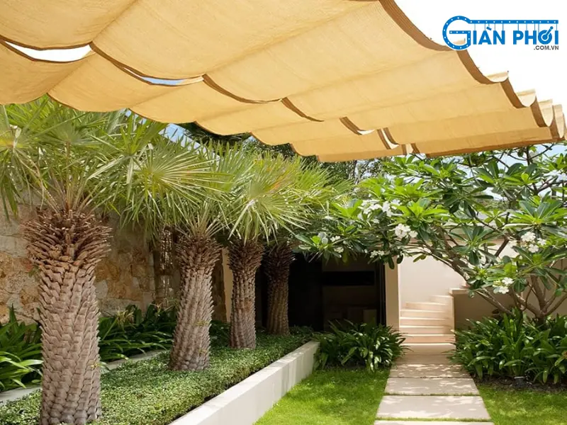 mẫu mái xếp cao cấp màu vàng