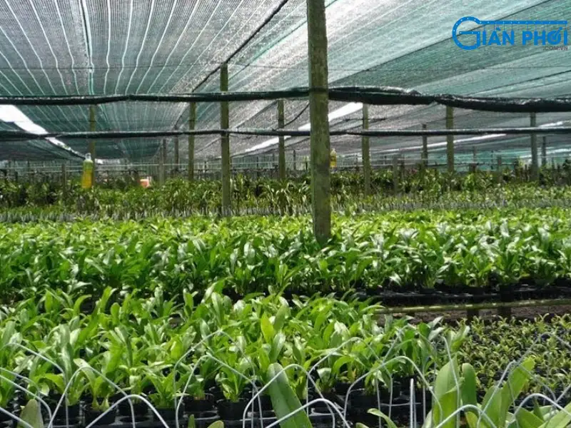 Bạt phủ nông nghiệp Bạt phủ nông nghiệp